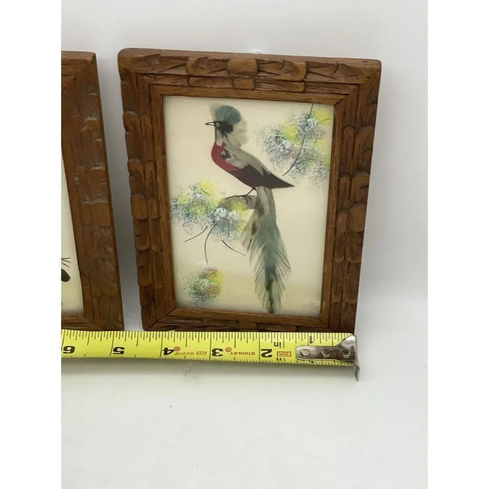 Pair Of Vintage Feather Art Bird Paintings In Carved Wooden Frames